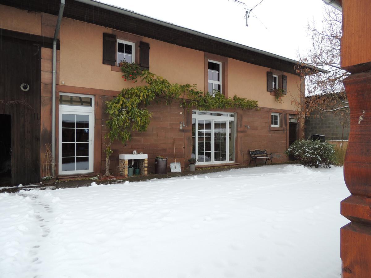 苏部雷黑赛尔住宿加早餐旅馆 Schillersdorf 外观 照片